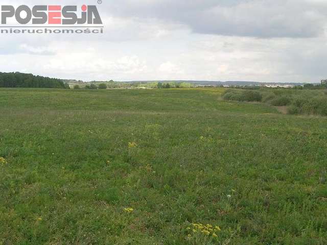 hektar gruntu rolnego Stobno (1)