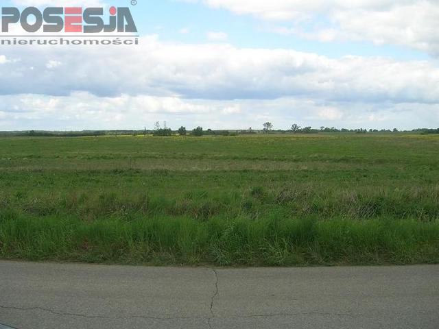 hektar gruntu rolnego Stobno (3)