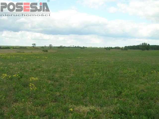 hektar gruntu rolnego Stobno (4)