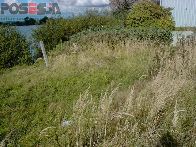 działkę przemysłową między Gryfinem a Żabnicą (3)