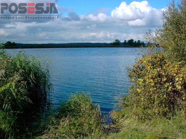 działkę przemysłową między Gryfinem a Żabnicą (4)