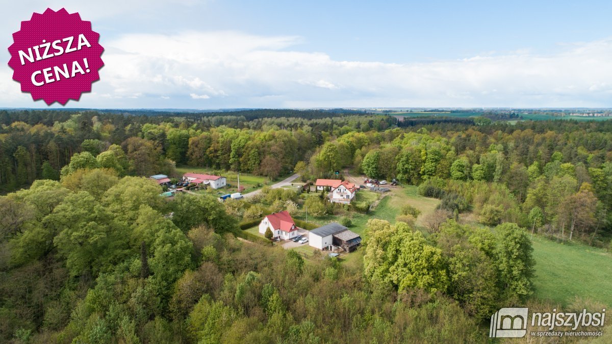 SUŁKOWO - DOM OTOCZONY ZIELENIĄ (25)