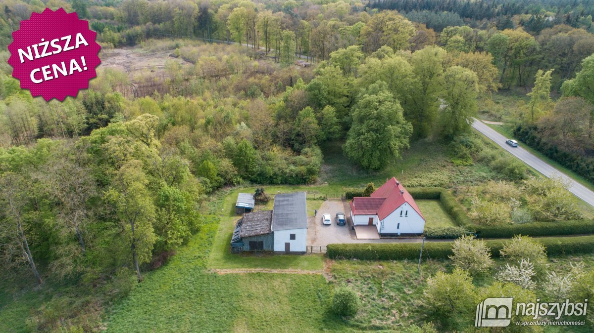 SUŁKOWO - DOM OTOCZONY ZIELENIĄ (27)