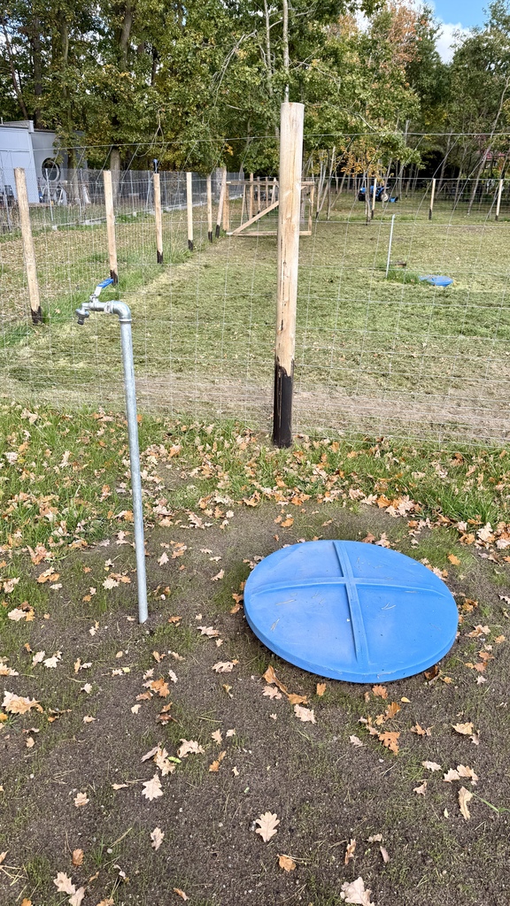 Piękne działki z planem 200m od morza w Niechorzu! (14)