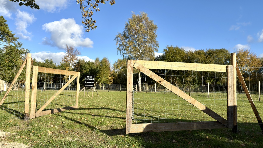 Piękne działki z planem 200m od morza w Niechorzu! (30)