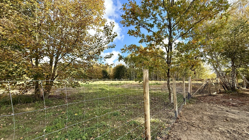 Piękne działki z planem 200m od morza w Niechorzu! (16)