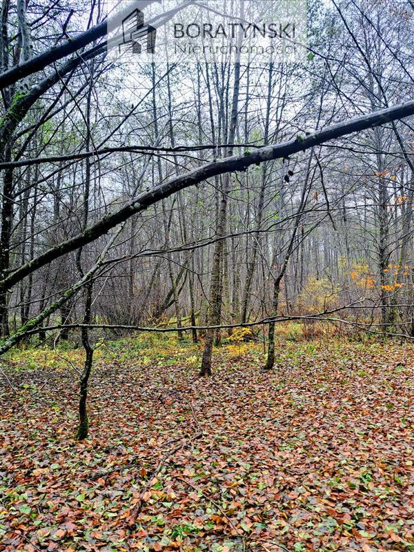 Działka z linią brzegową rzeki Grabowa (10)