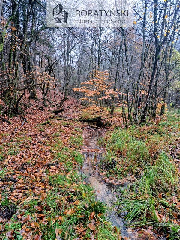 Działka z linią brzegową rzeki Grabowa (11)