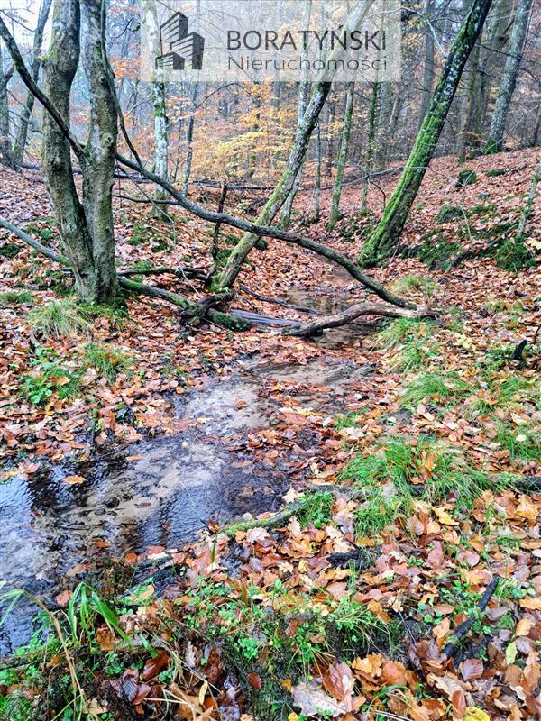 Działka z linią brzegową rzeki Grabowa (12)