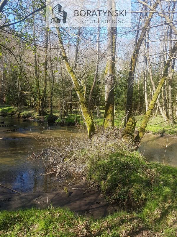 Działka z linią brzegową rzeki Grabowa (4)