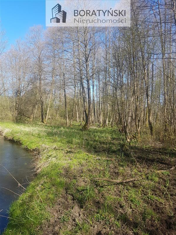 Działka z linią brzegową rzeki Grabowa (5)