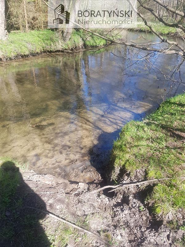Działka z linią brzegową rzeki Grabowa (6)