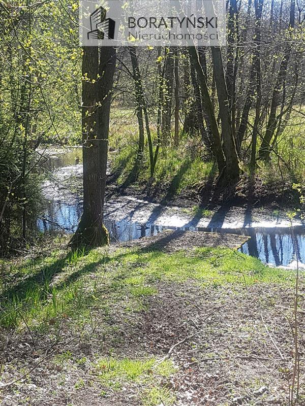 Działka z linią brzegową rzeki Grabowa (7)