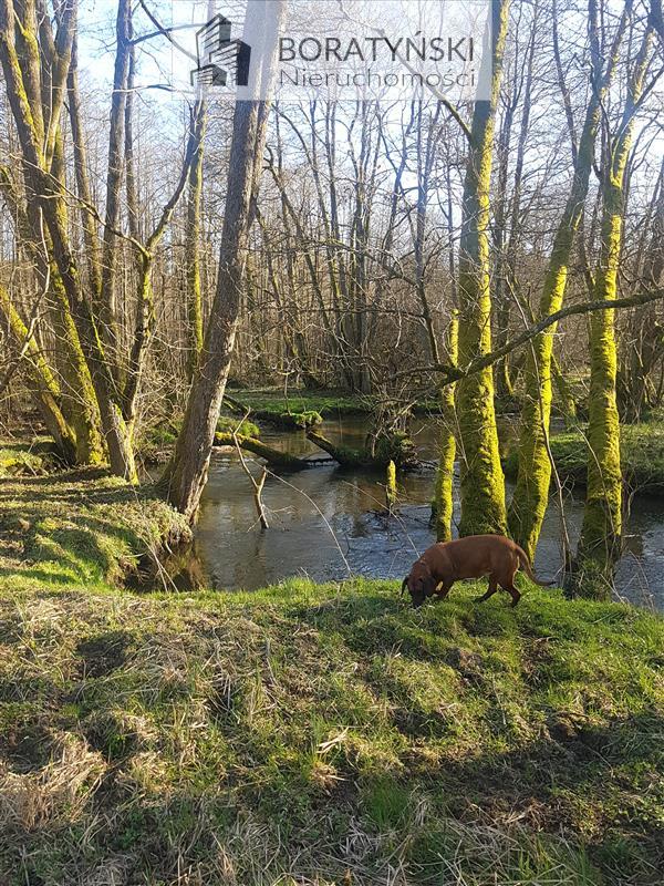Działka z linią brzegową rzeki Grabowa (8)