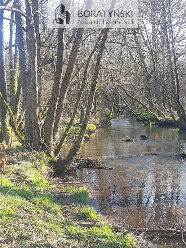 Działka z linią brzegową rzeki Grabowa (9)