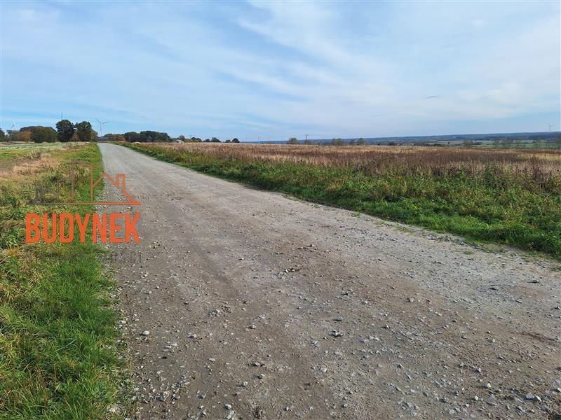 Działka rolna - Zakrzewo  (3)