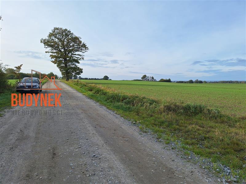 Działka rolna - Zakrzewo  (5)