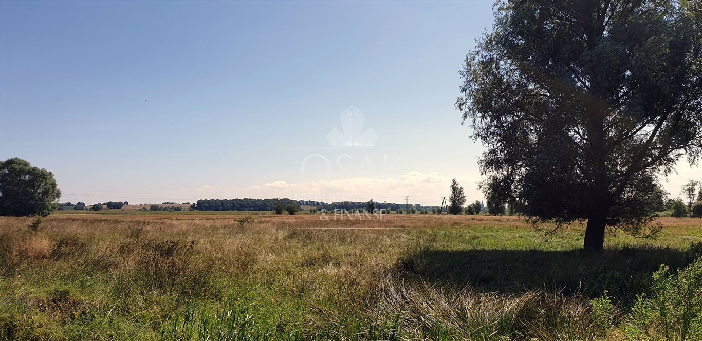 Kompleks działek rolnych -Włodarka -k. Trzebiatowa (3)