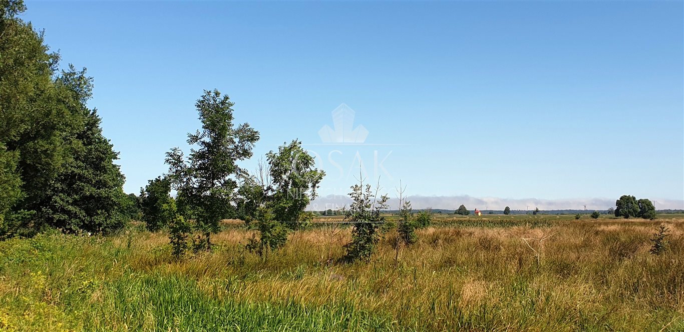 Kompleks działek rolnych -Włodarka -k. Trzebiatowa (5)