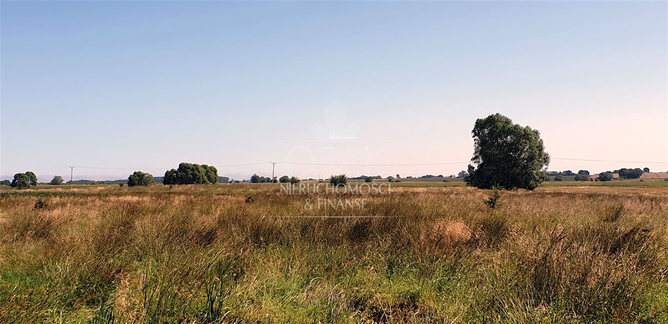 Kompleks działek rolnych -Włodarka -k. Trzebiatowa (6)