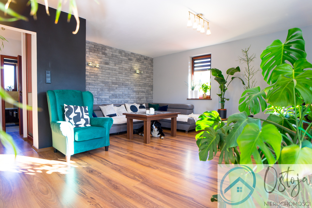 Wolnostojący Dom - z lokalem handlowym - Podjuchy (3)