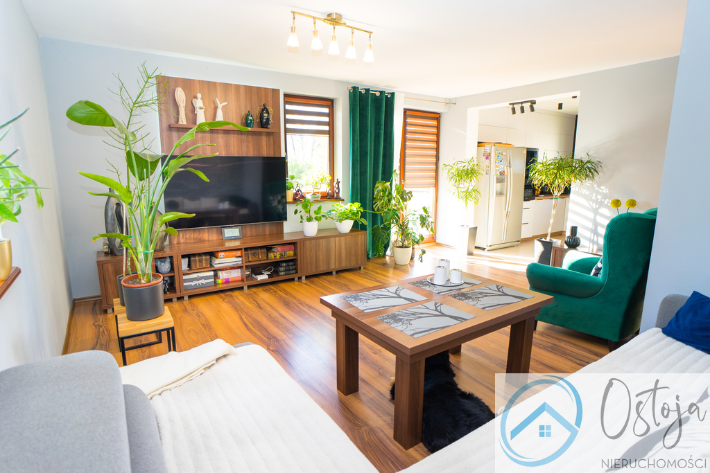 Wolnostojący Dom - z lokalem handlowym - Podjuchy (2)