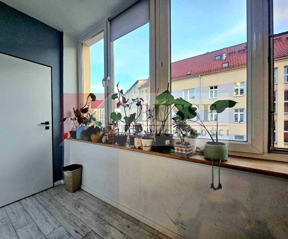 Duże 2 pokoje z loggia przy Mikołaja Reja! (5)