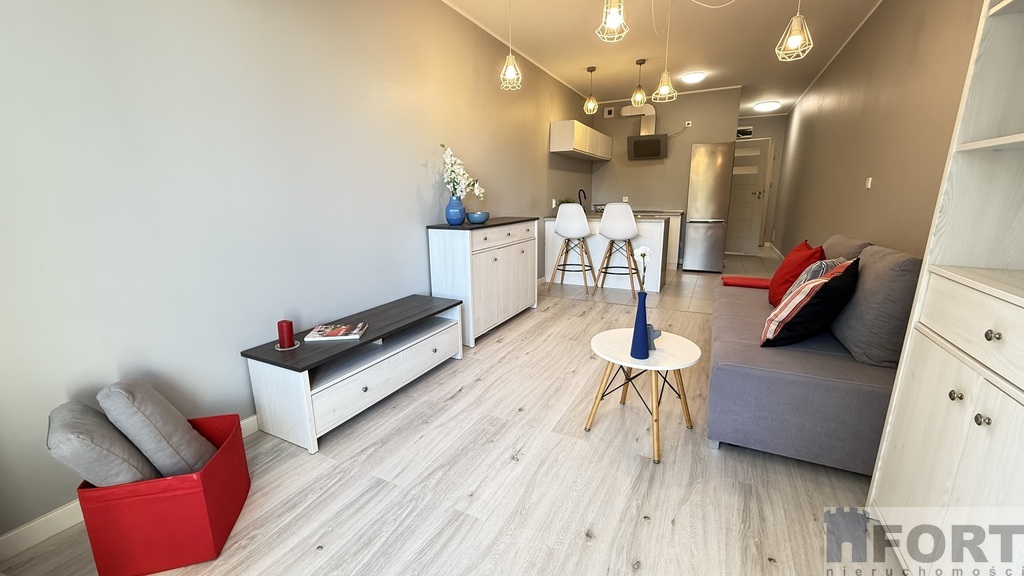 Kawalerka przy Potulickiej, do wprowadzenia (4)