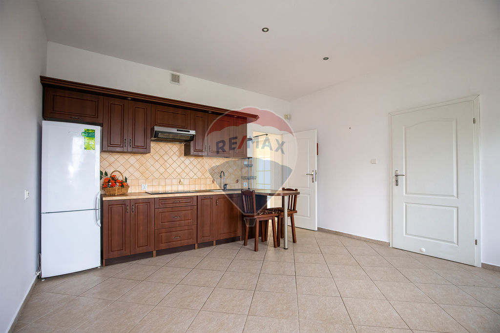 Rodzinna rezydencja z potencjałem pensjonatowym! (29)