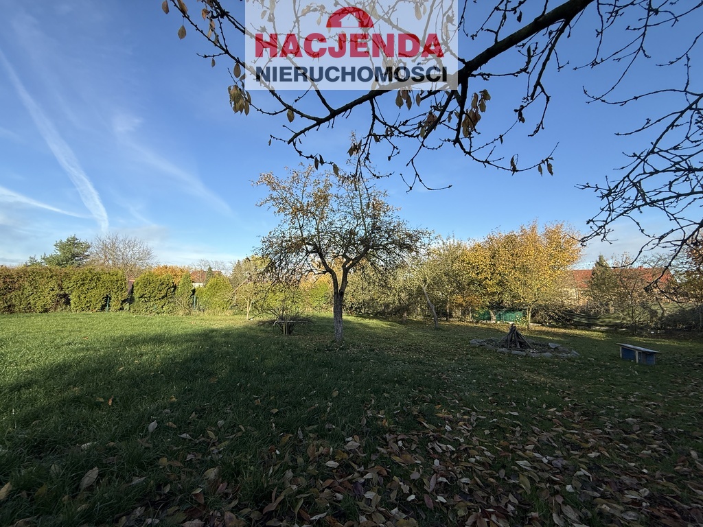 Usługowa, 829 m2, Police  (1)