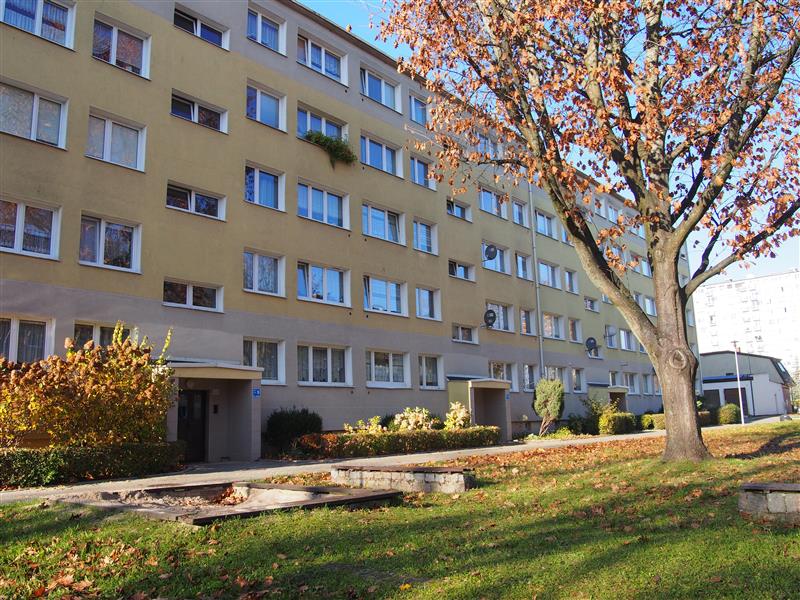 Mieszkanie - Słupsk Zatorze (4)