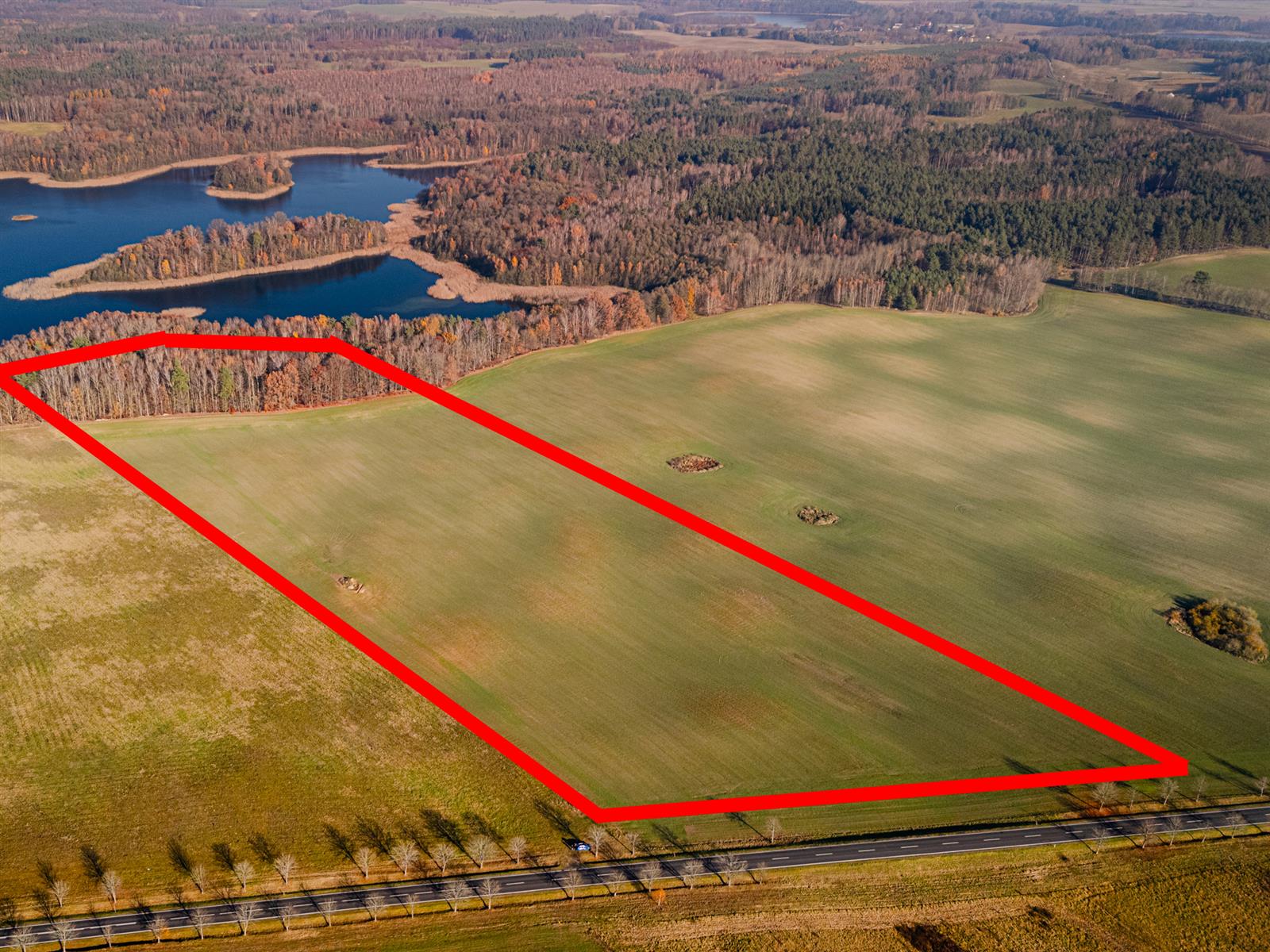 Działka siedliskowa - Krągi  (1)