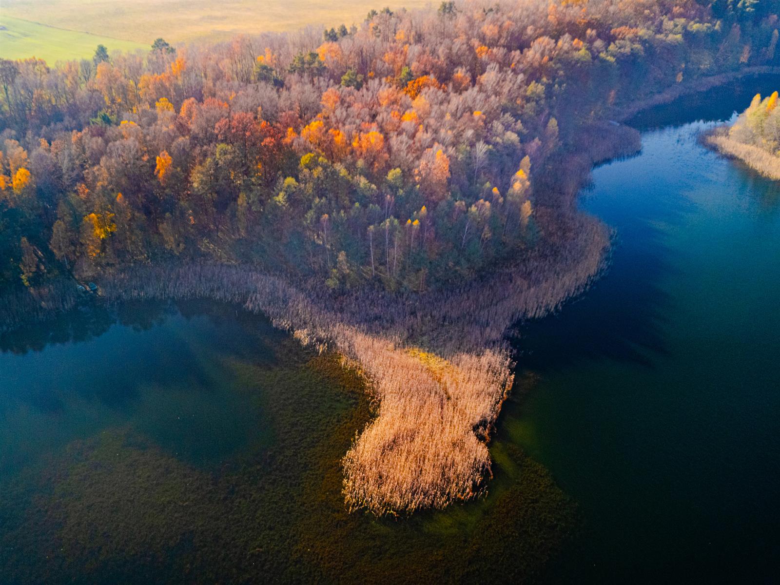 Działka siedliskowa - Krągi  (14)
