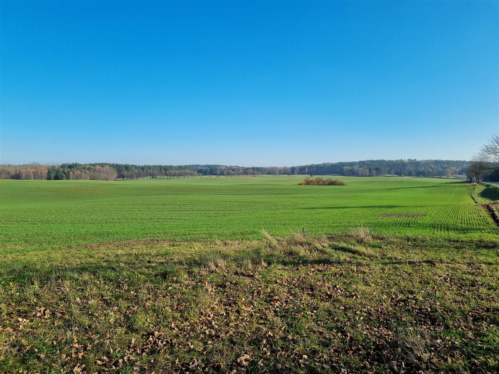 Działka siedliskowa - Krągi  (6)