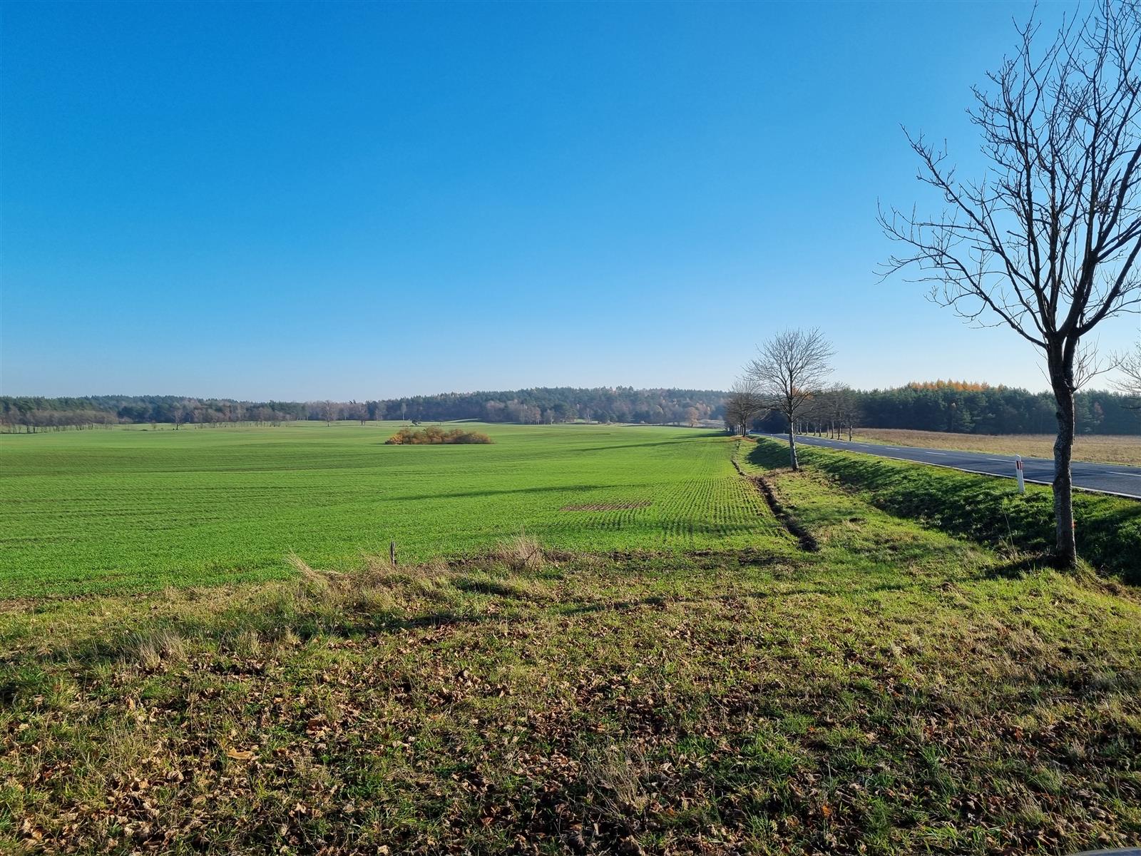 Działka siedliskowa - Krągi  (7)