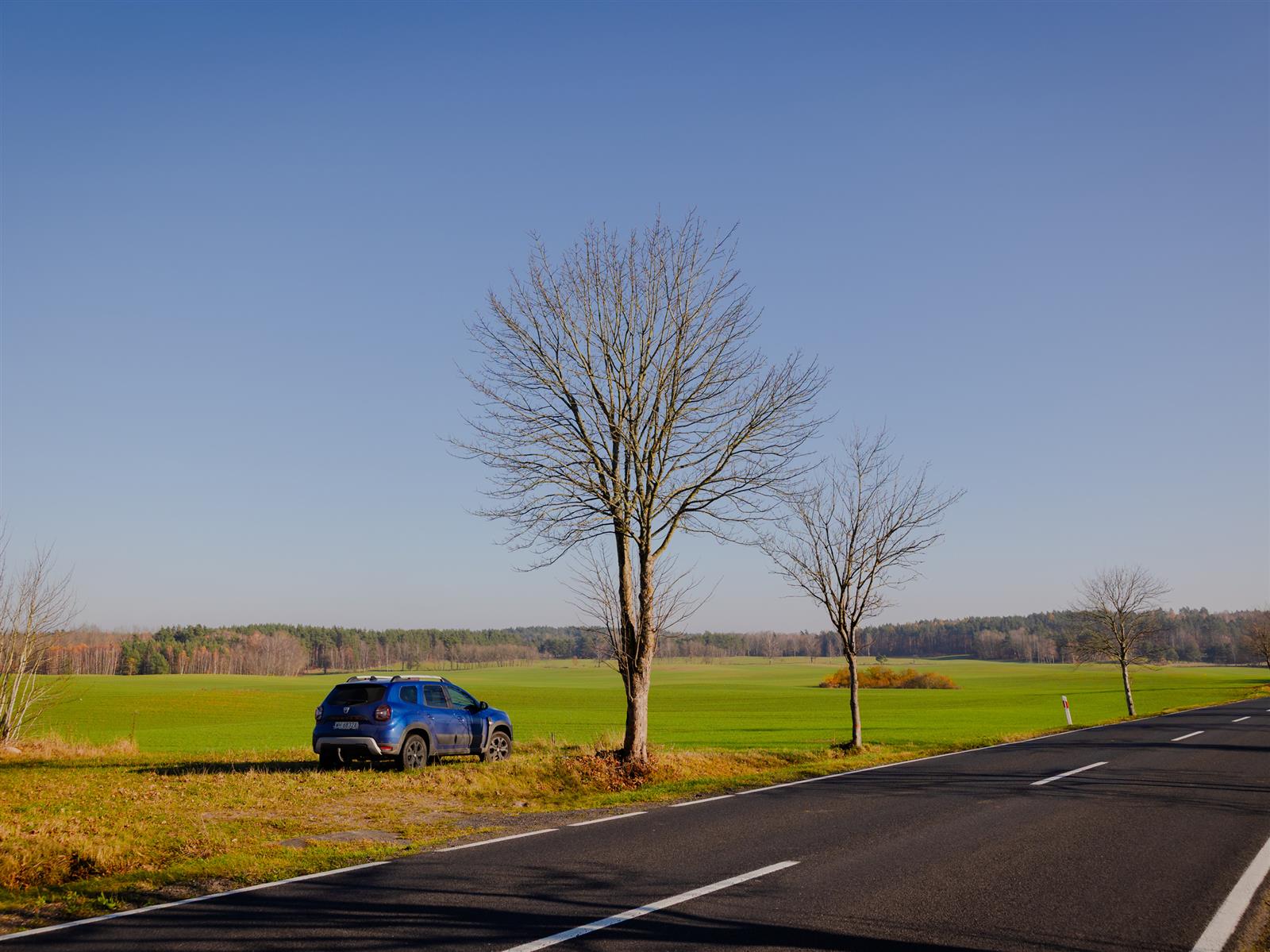 Działka siedliskowa - Krągi  (8)