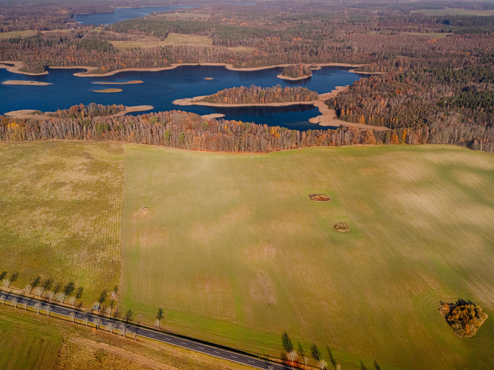Działka siedliskowa - Krągi  (9)