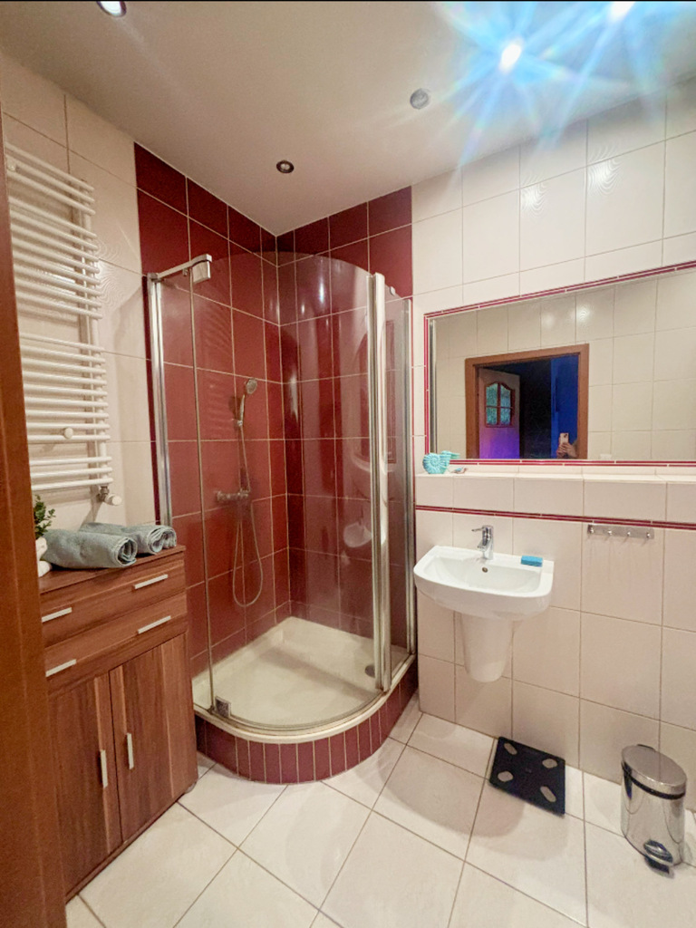 2 pokoje idealne dla wynajmu lub własne potrzeby (8)