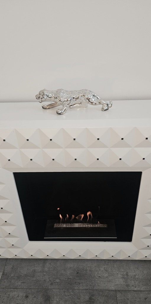 Wyposażone mieszkanie z widokiem na rzekę (4)