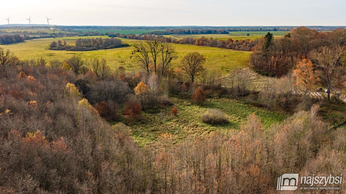 Zagórze-dwie atrakcyjne działki w cenie przy lesie (10)