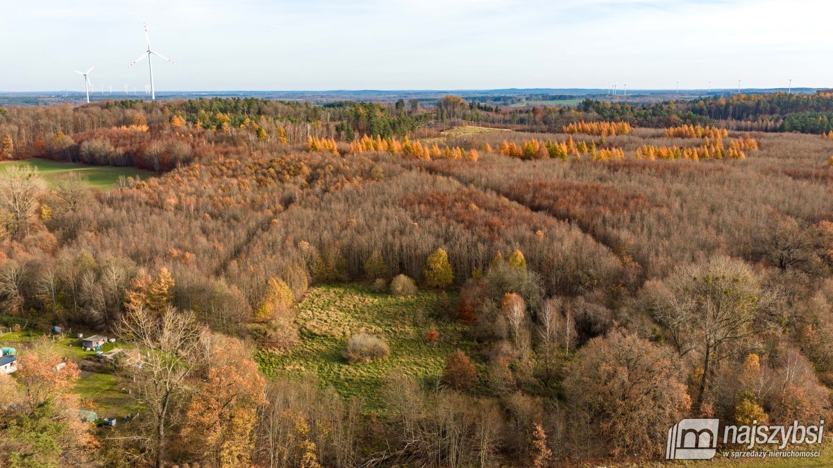 Zagórze-dwie atrakcyjne działki w cenie przy lesie (12)