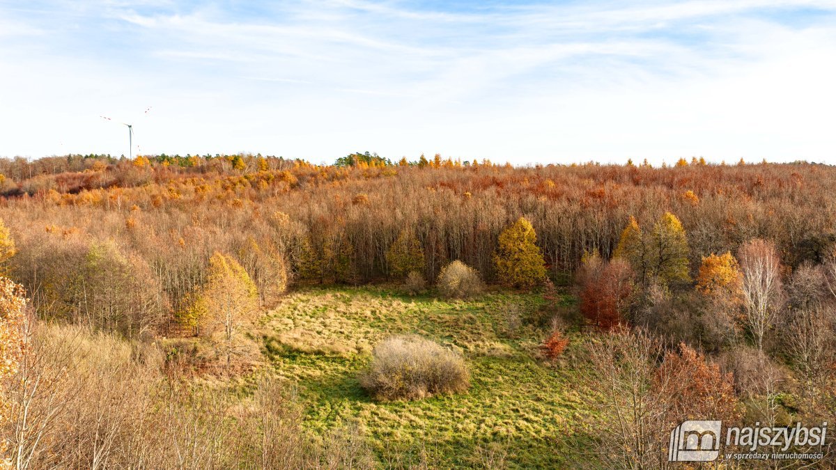 Zagórze-dwie atrakcyjne działki w cenie przy lesie (2)