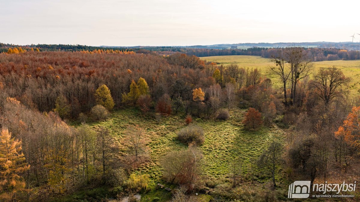 Zagórze-dwie atrakcyjne działki w cenie przy lesie (8)