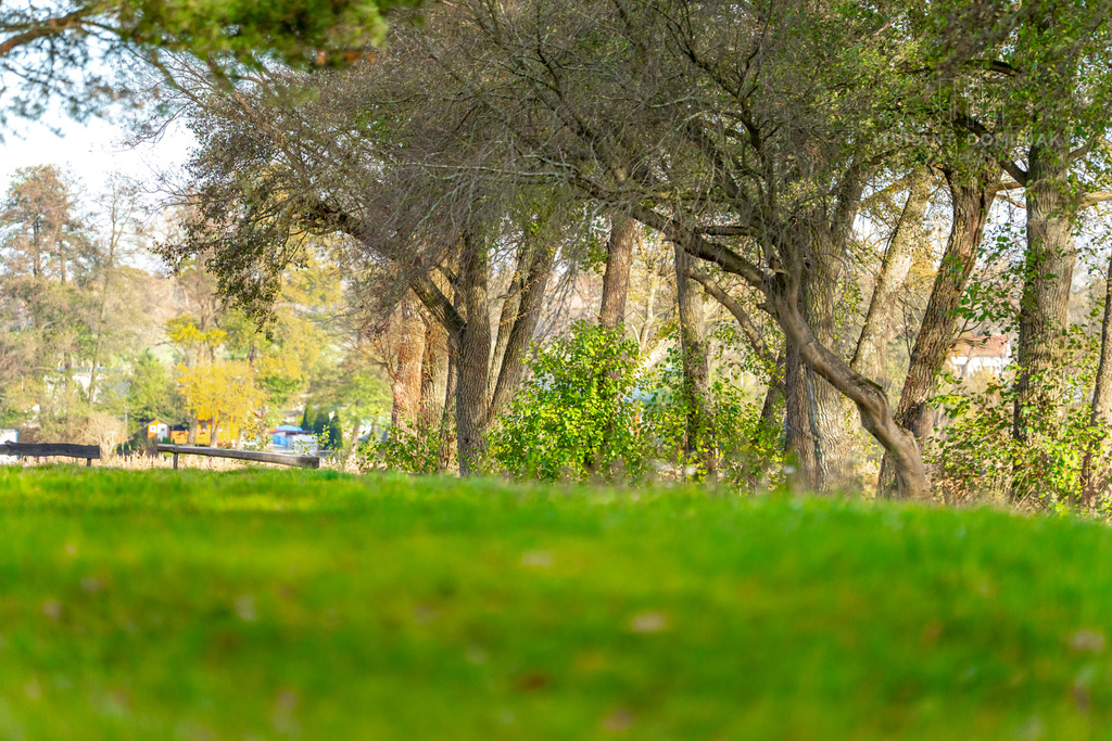 Malowniczo położona działka - jezioro Lubie (18)