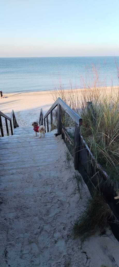 Międzywodzie apartament 42 mkw z parkingiem. (13)