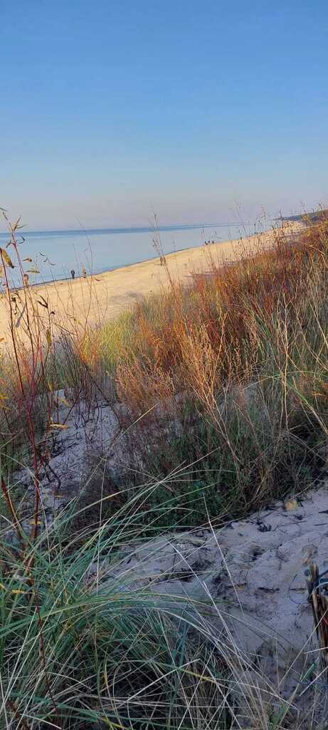 Międzywodzie apartament 42 mkw z parkingiem. (12)