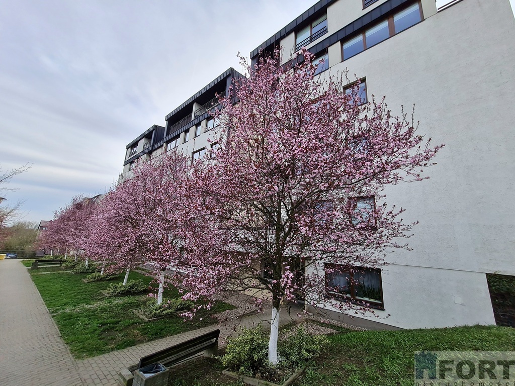 Wyjątkowe 2-pokojowe mieszkanie na Warszewie !!! (13)