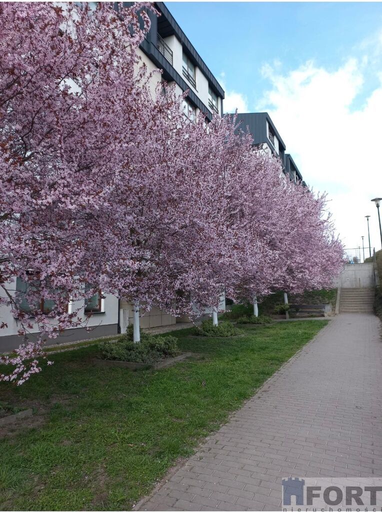 Komfortowe 2 pokoje na Warszewie !!! (6)