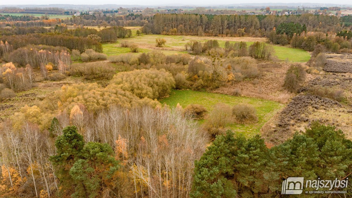 Moczyłki-działki w cenie, atrakcyjna lokalizacja (6)