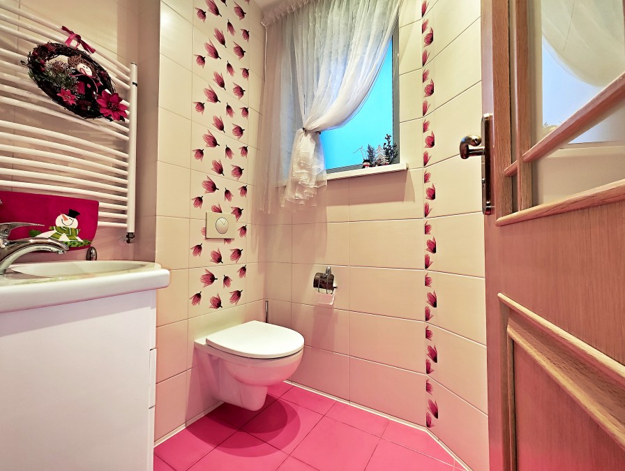 Piękny dom i duża hala. (19)